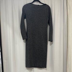 Zara Shimmering Gray Long Sleeve Dress